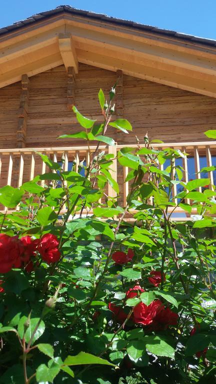 Hotel Des Roses Antey-Saint-André المظهر الخارجي الصورة